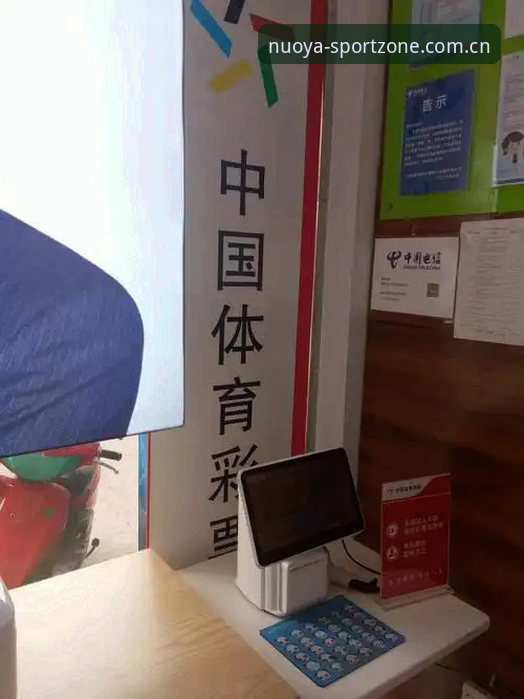 诺亚体育入口深度分析：从下载到投注的全流程体验解析